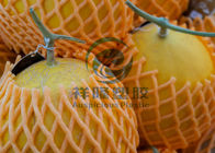 Ζωηρόχρωμη πιστοποίηση συσκευασίας ISO9001/2008 προστασίας φρούτων κάλυψης δικτύου αφρού EPE